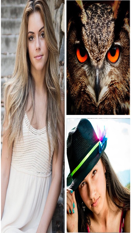 Collage Maker Editor PRO