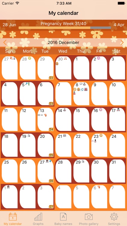 WomanLog Pregnancy Pro