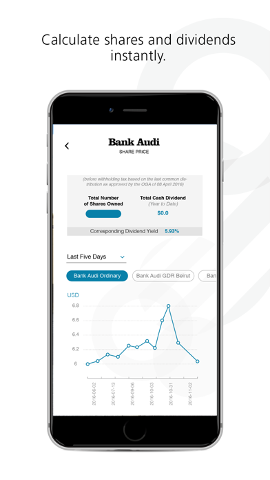 Bank Audi IR Screenshot