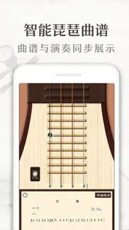 琵琶 iphone images 2