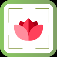 ‎PlantDetect - Plant Identifier