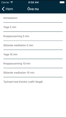 Game screenshot Dagliga droppar mindfulness apk