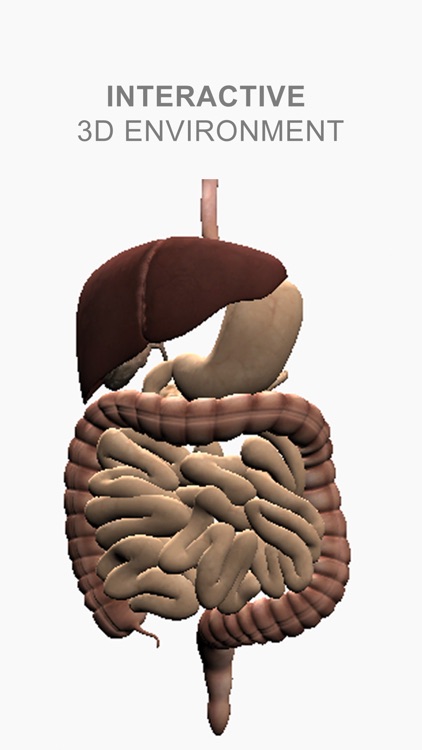 Explain 3D: Human body