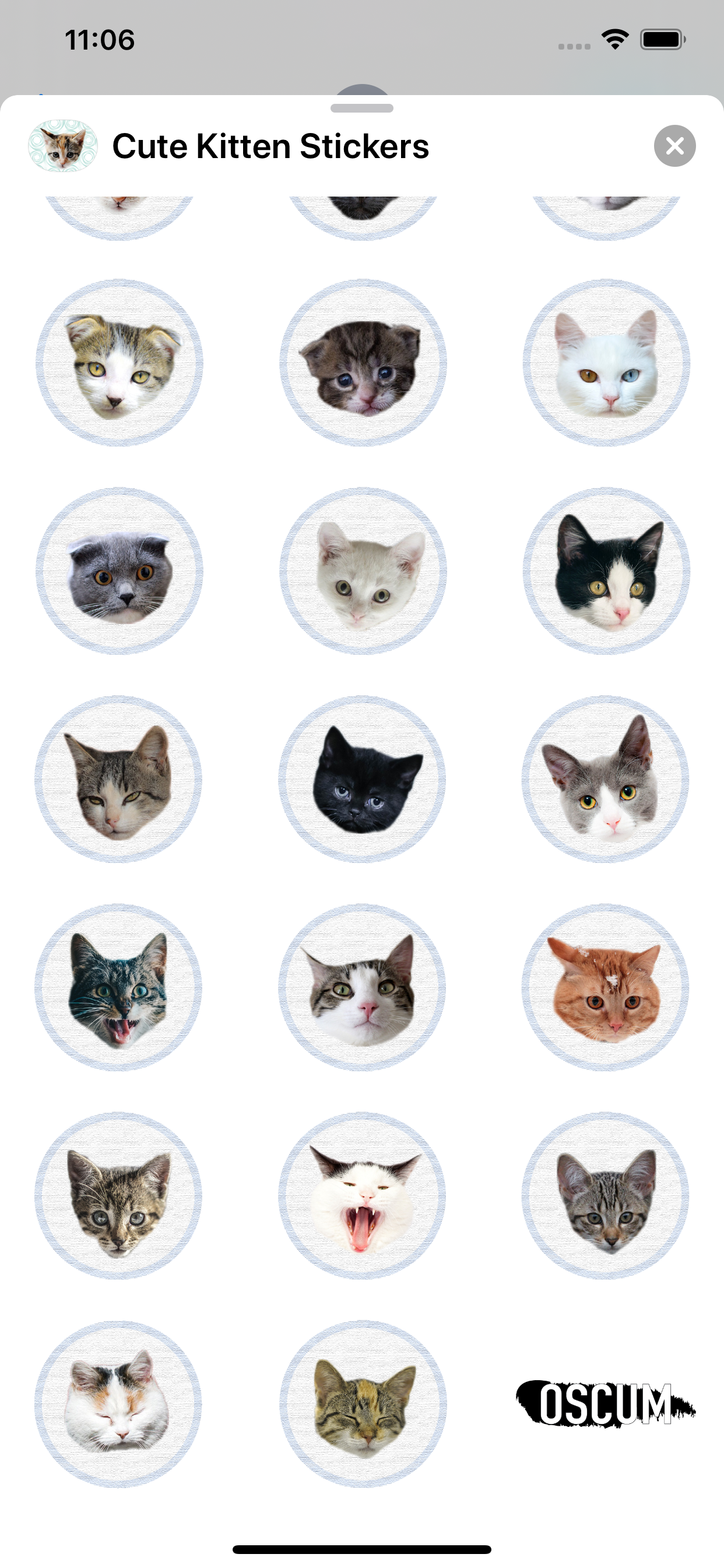 Cute Kitten - Stickers