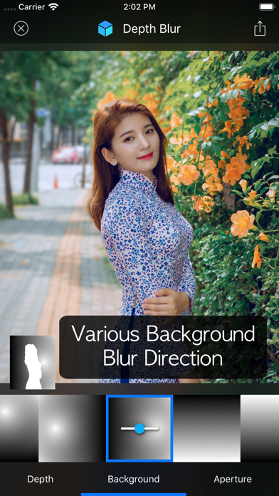 Depth Blur - Manual Portraitのおすすめ画像5