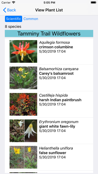 Oregon Wildflower Search Screenshot