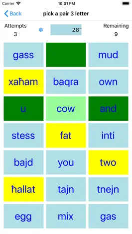 Game screenshot PickAPair Maltese - English apk