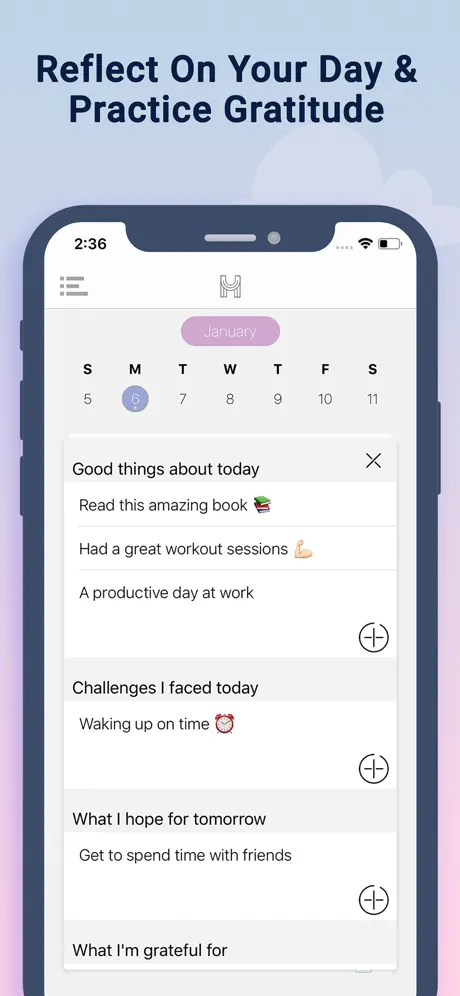 The Happiness Planner