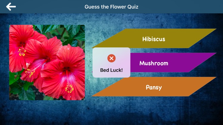 Guess the Flower Quiz screenshot-3