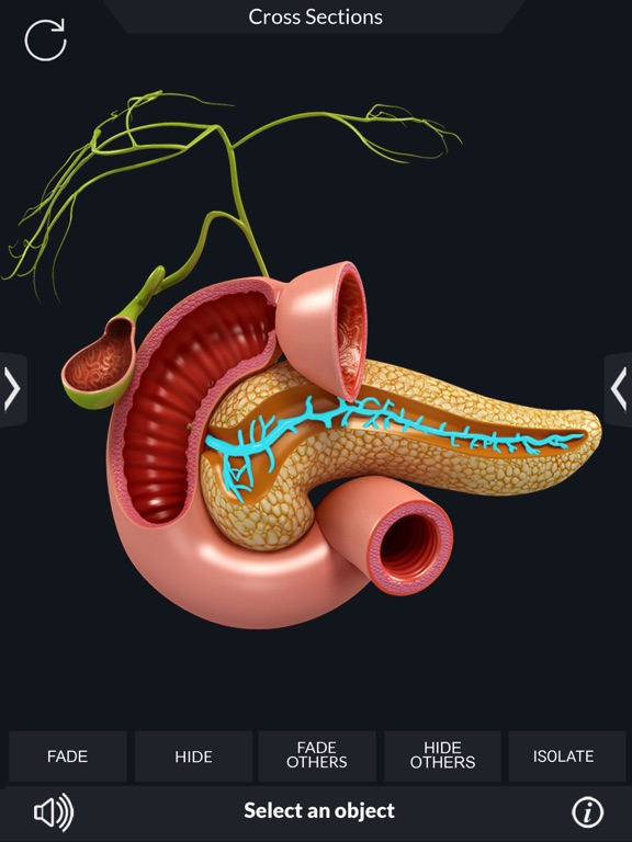 My Digestive System Anatomyのおすすめ画像7