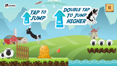 Screenshot #3 pour CollieRun - Dog agility game
