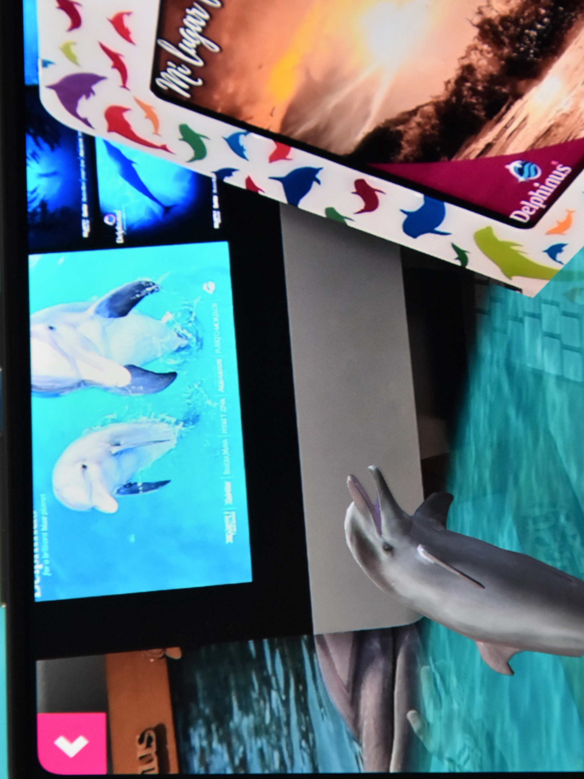 Delphinus RA+ screenshot 4