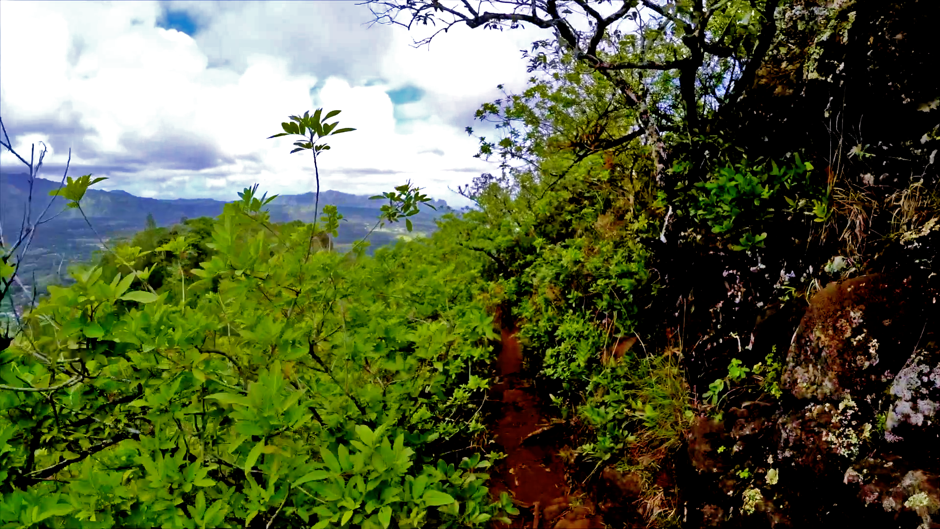 Happy Trails screenshot 11