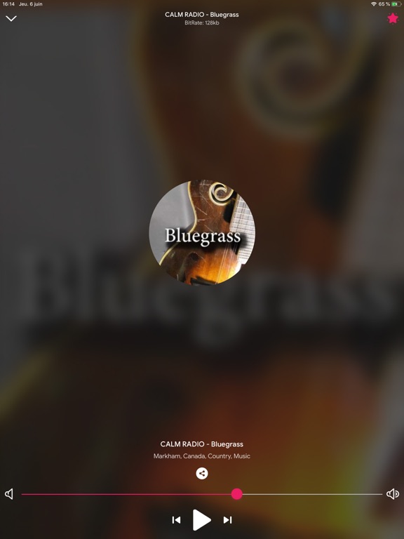 Screenshot #6 pour Radio Country en Direct