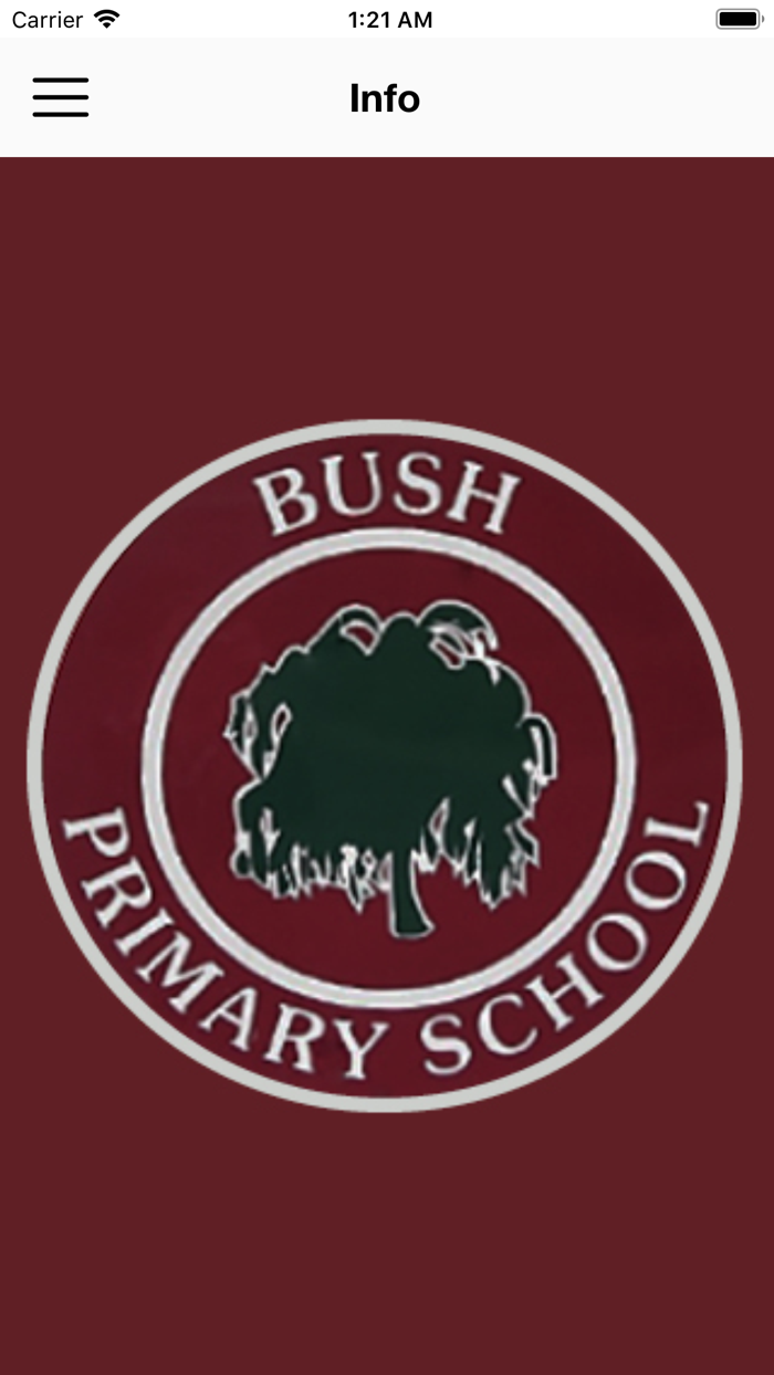 Bush PS