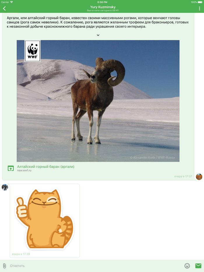 Полиглот для ВКонтакте