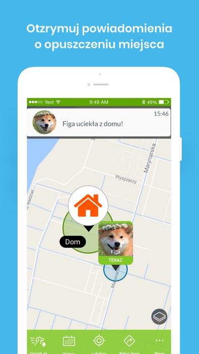 Bezpieczne Zwierzę Screenshot