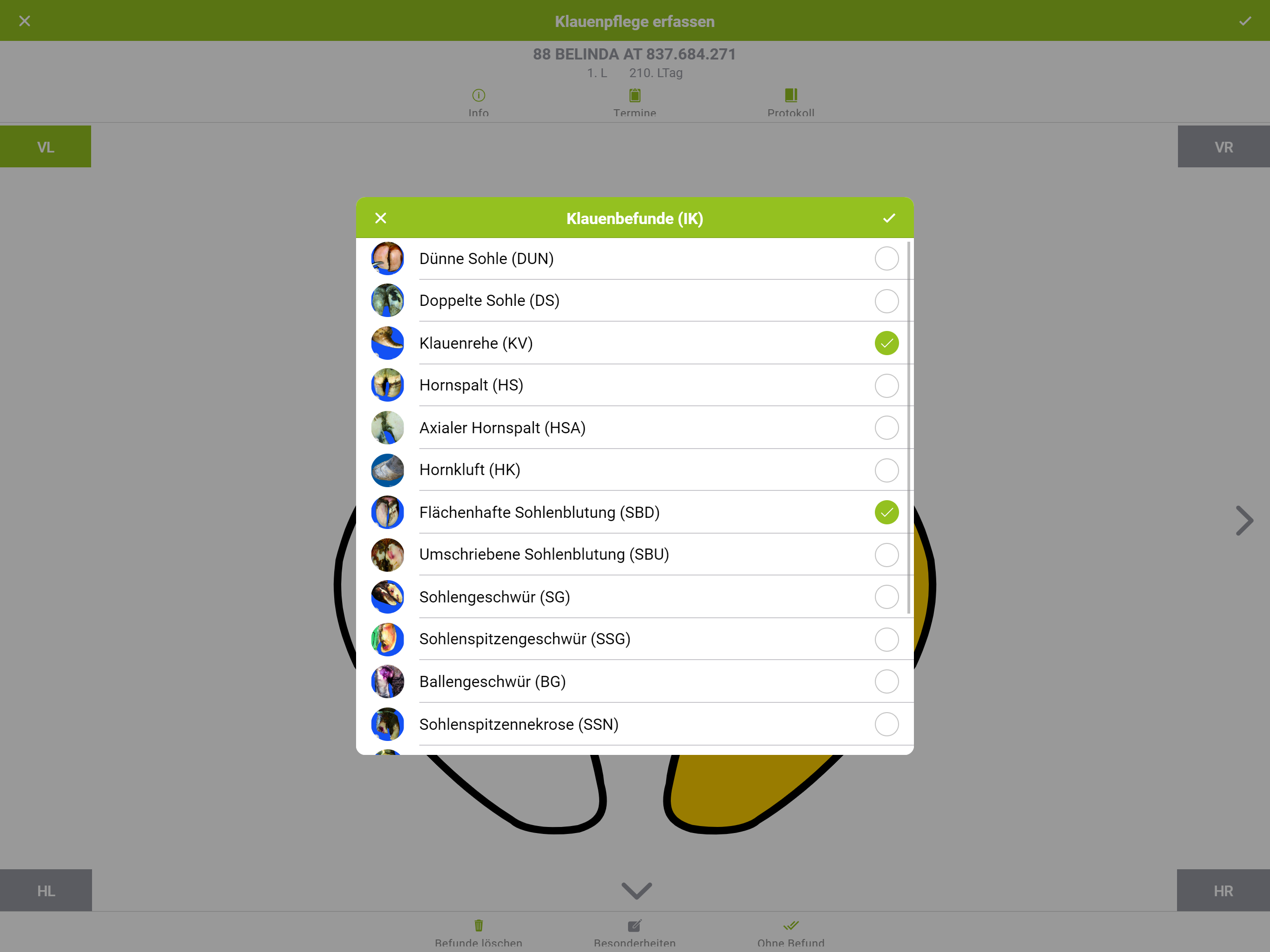 Klauenprofi screenshot 12