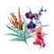 Add a set of beautiful hand-painted flower stickers to iMessage, there are many types, suitable for a variety of chat scenarios, it is also very convenient to use, I hope you will like it