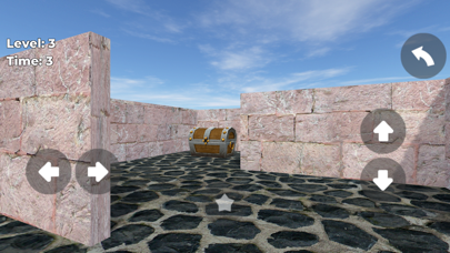 Screenshot #3 pour Mad Maze z