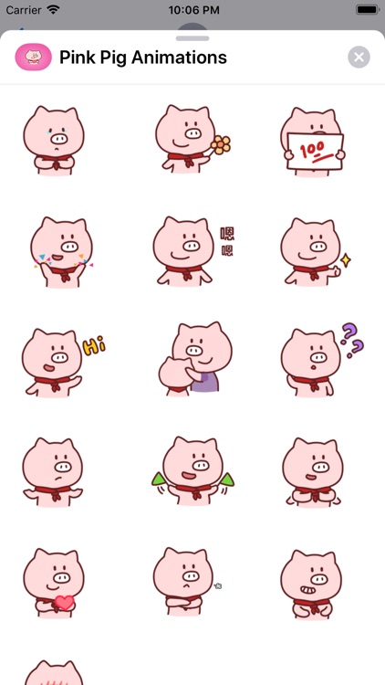 Pink Pig Animations