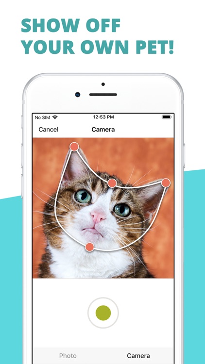 Toppy - My Talking Animals Pro