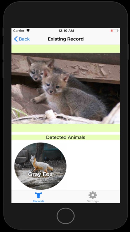 Mammals of NY screenshot-4