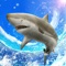 **Enjoy the thrilling shark fishing