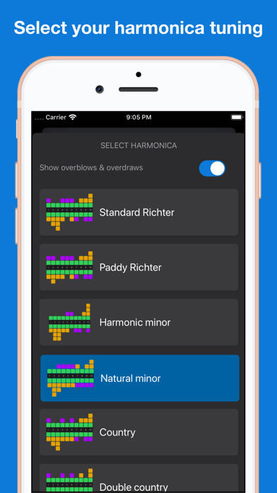 Screenshot 2 of Blue Harmonica App