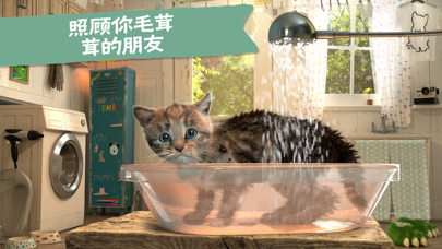 应用截图 3