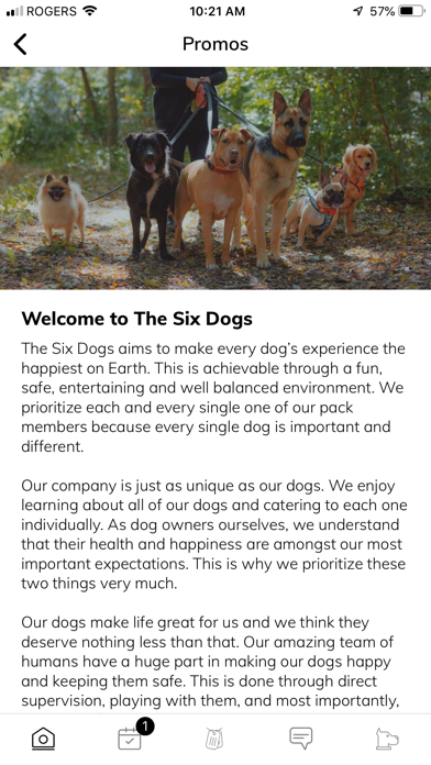 THE SIX DOGS screenshot 3
