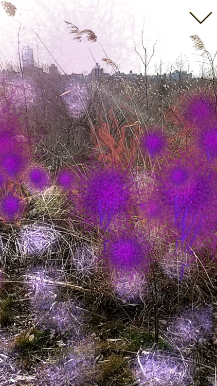 Becoming Biodiversity