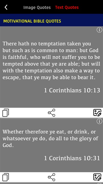 La Biblia del Oso con screenshot-7