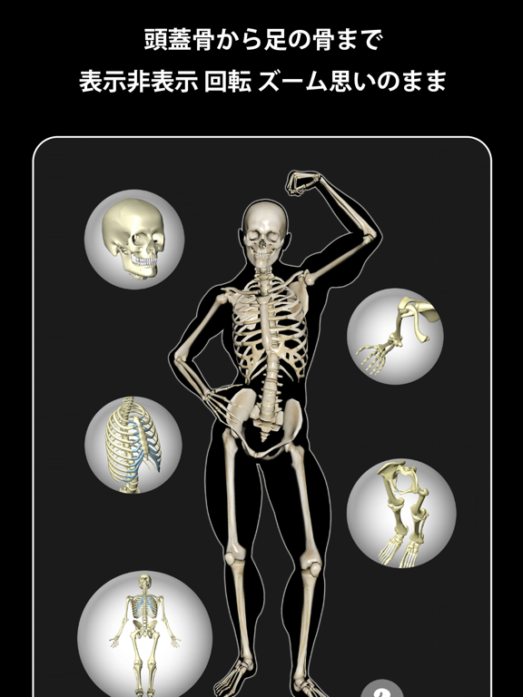 Screenshot #4 pour Bone (ボーン)