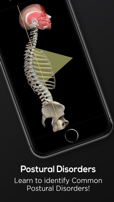 Posture by Muscle & Motion Screenshot