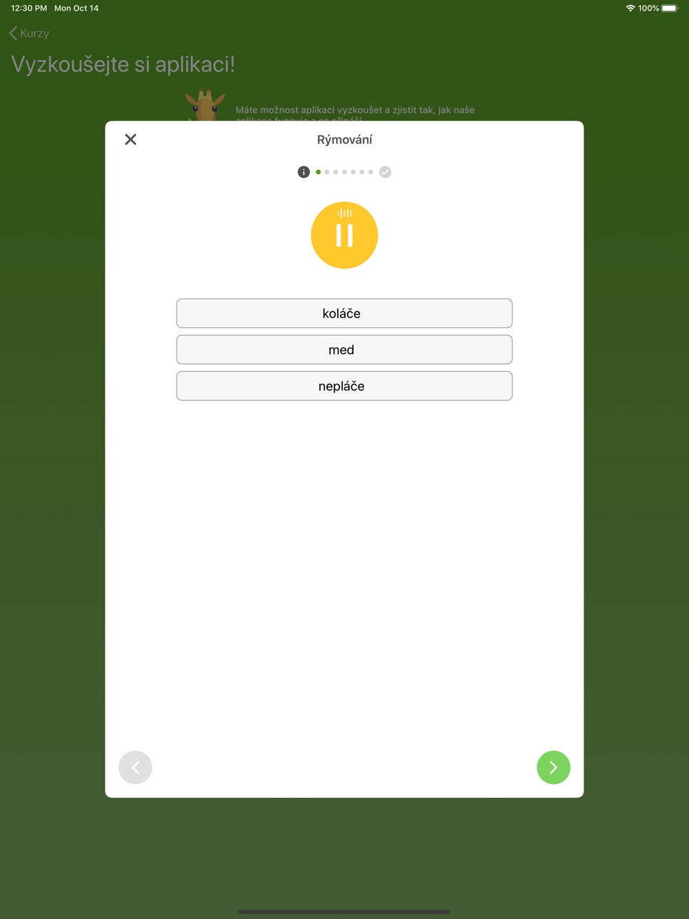 iPad screenshot