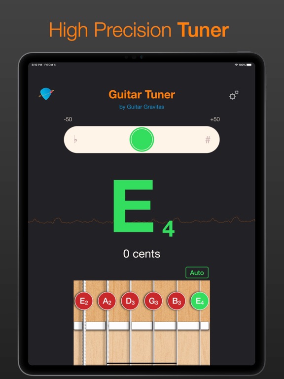 Guitar Tuner by GuitarGravitas iPad screenshot 1 - Education app