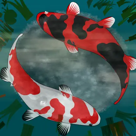 Match Opposites Cheats