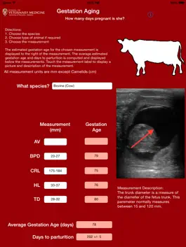 Game screenshot Gestation Aging apk