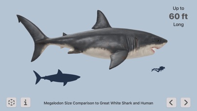 Megalodonのおすすめ画像3