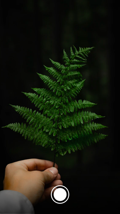 Screenshot #1 pour Sticker Moment