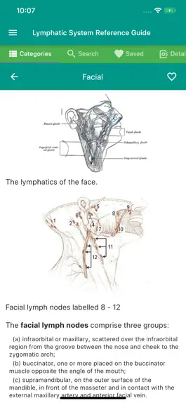 Game screenshot Lymphatic System Reference hack