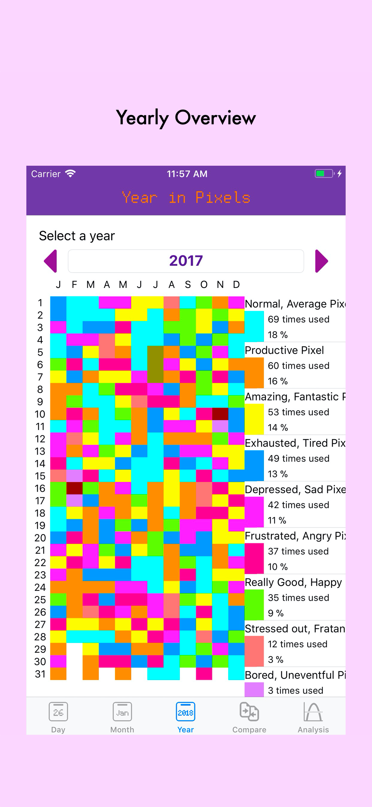 Your Year in Pixels screenshot 3