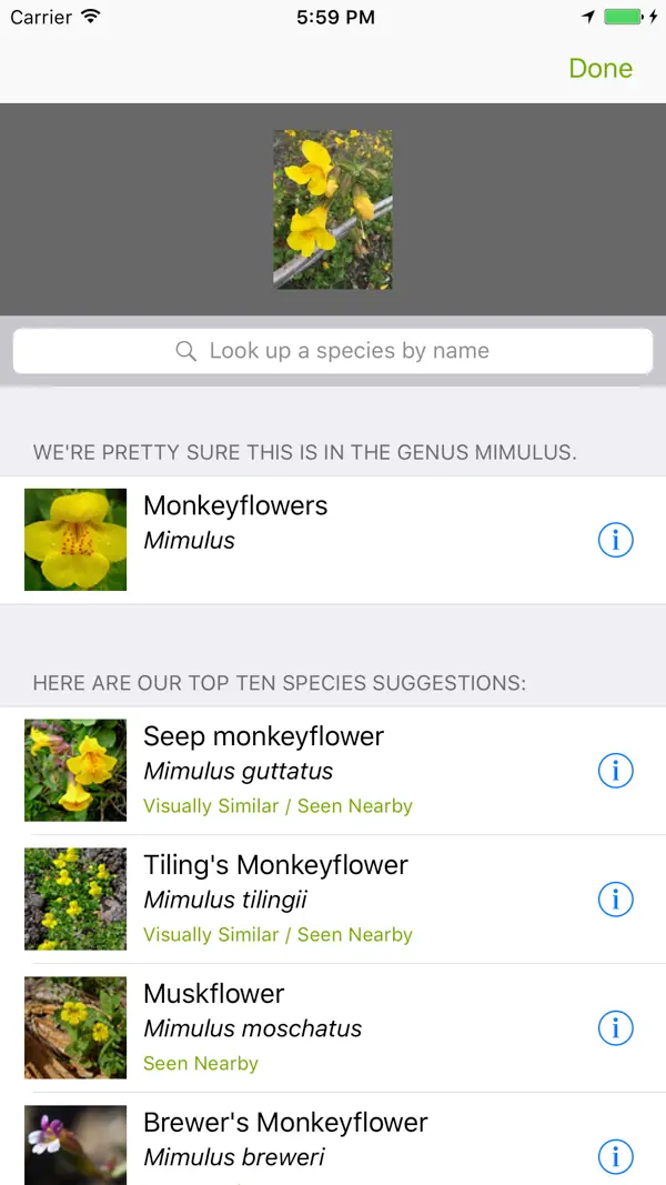 iNaturalist Classic Screenshot 2