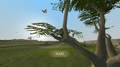 Wild Lion Survival Simulator Screenshot