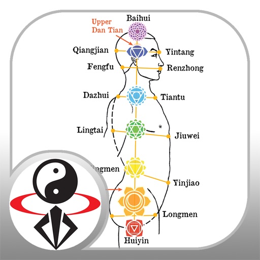 Acupressure Massage Qigong icon