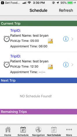 Game screenshot Nemt Transport hack