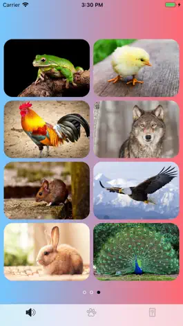 Game screenshot Animal Sounds Magic hack