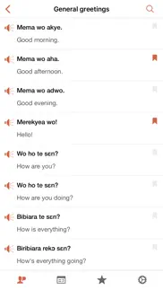 nkyea twi phrasebook iphone screenshot 2