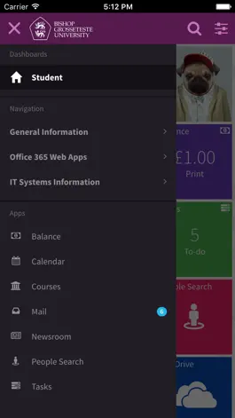 Game screenshot myBGU apk